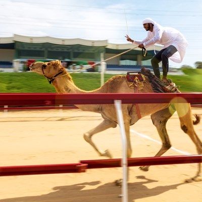 Al Tallah Camel Racecourse