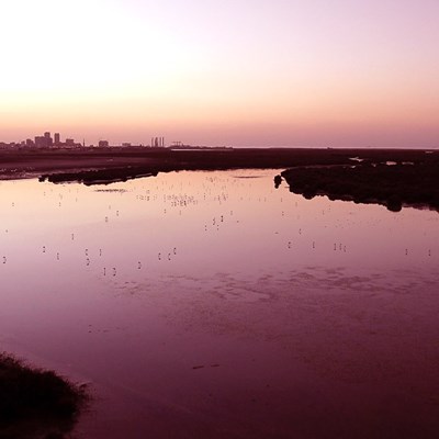 Al Zorah Nature Reserve