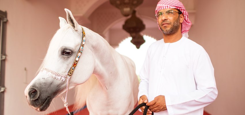 مربط عجمان